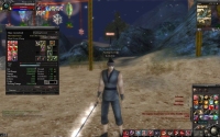 Nine Dragons Awaken - Screenshot MmoRpg