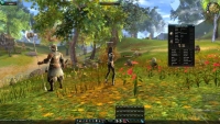 Aika - Screenshot MmoRpg