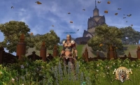 Arena Online - Screenshot MmoRpg