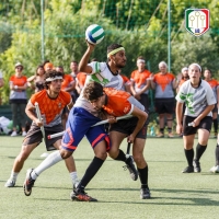 Boars Benevento Quidditch - Screenshot Harry Potter