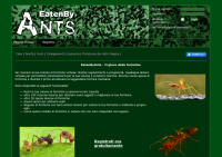 EatenByAnts - Screenshot Browser Game