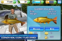 Fishing Kings - Screenshot Altri Sport