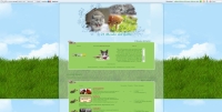 Il mondo del Gatto - Screenshot Play by Forum