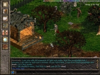 La Quarta Profezia - Screenshot MmoRpg