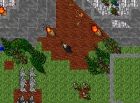 Miracle - Screenshot MmoRpg