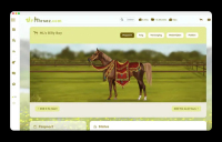 My Horsez - Screenshot Browser Game