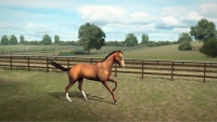 My Horse - Screenshot Play by Mobile