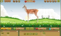 Naturezer - Screenshot Browser Game