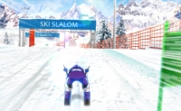 Skisim - Screenshot Browser Game