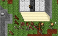 Tibia Old Server - Screenshot MmoRpg