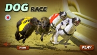 Virtual Dog Racing - Screenshot Animali e Fattorie